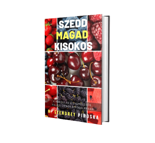 Szedd Magad Kisokos e-book